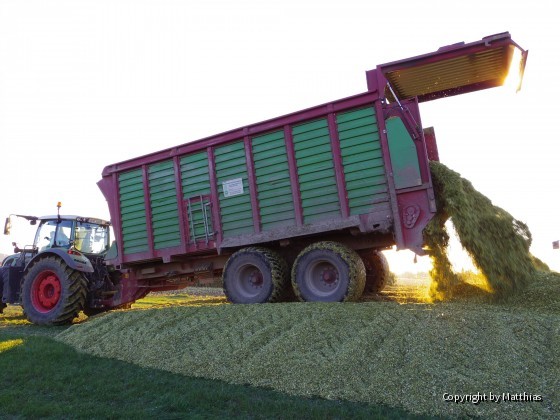 Maishächseln 2015, da habe ich noch gearbeitet (JD6620)