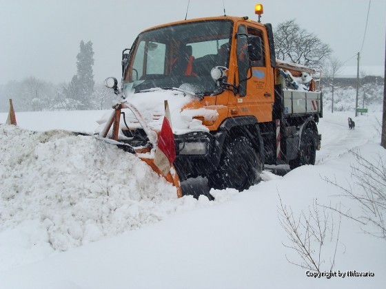 Januar bis Dezember