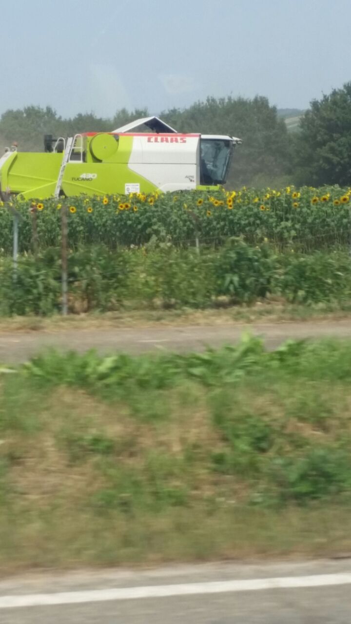 RLW