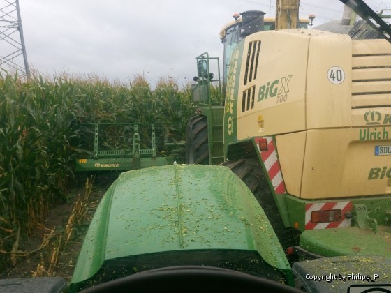 Maisernte mit John Deere und Krone