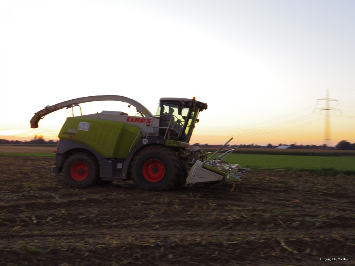 Maishächseln 2015, da habe ich noch gearbeitet (JD6620)