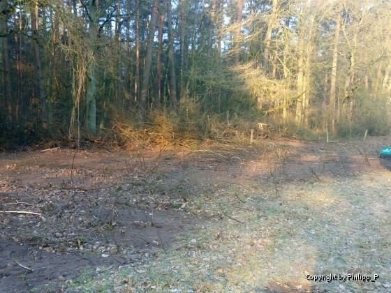 Wiederherstellung der urspünglichen Grenze