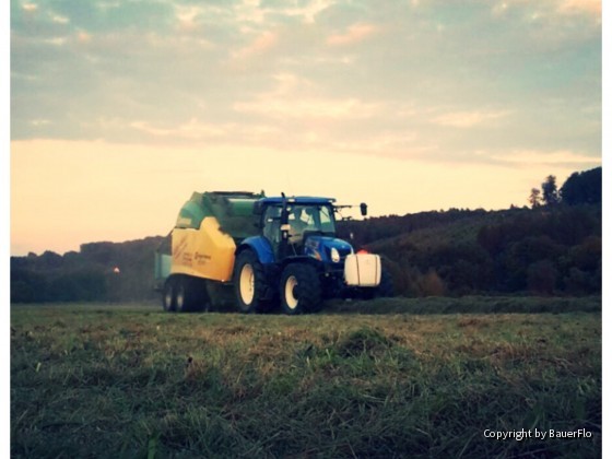 Wieder einmal Bilder von meiner Arbeit