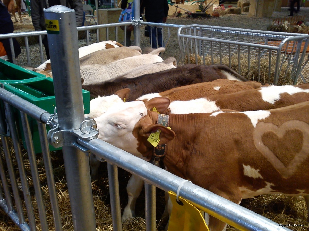 Eurotier 2012 in Hannover