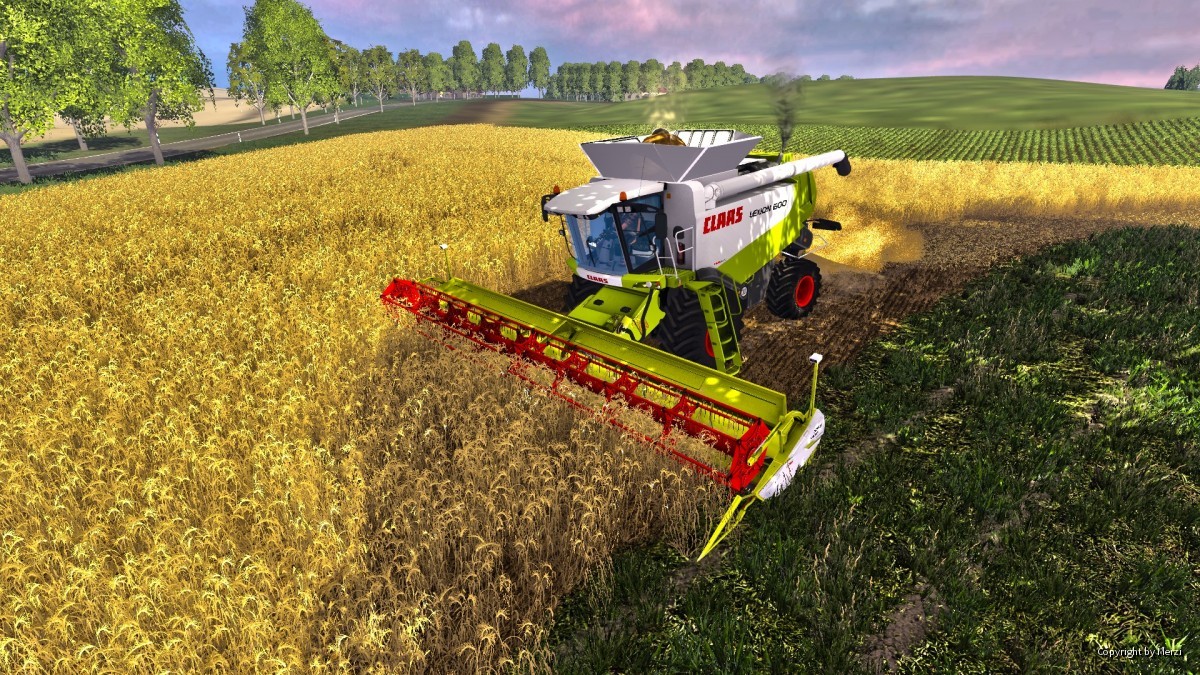 Wintergerste in MVP dreschen mit dem Lexion 600