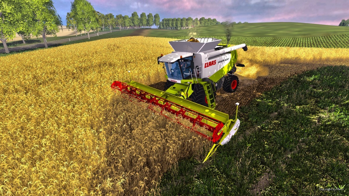 Wintergerste in MVP dreschen mit dem Lexion 600