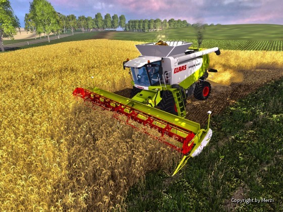 Wintergerste in MVP dreschen mit dem Lexion 600