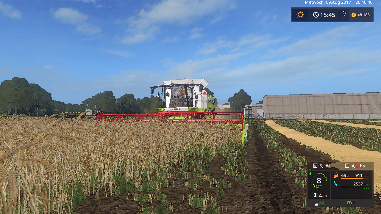 Weizen dreschen mit dem Claas Lexion 750