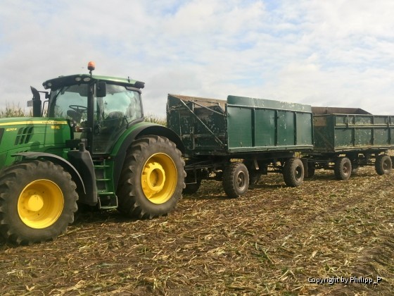 Maisernte mit John Deere und Krone