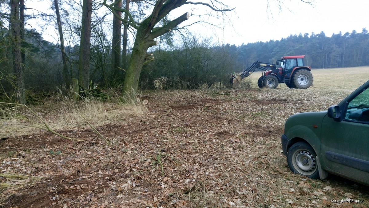 Wiederherstellung der urspünglichen Grenze