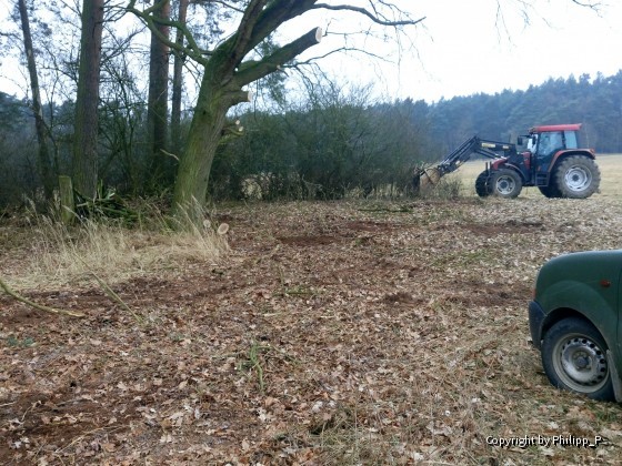 Wiederherstellung der urspünglichen Grenze