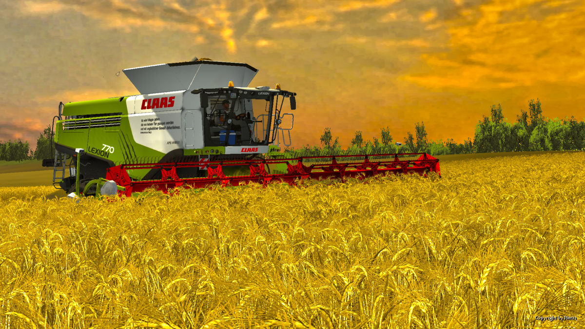 Claas Lexion 770 in den Abendstunden