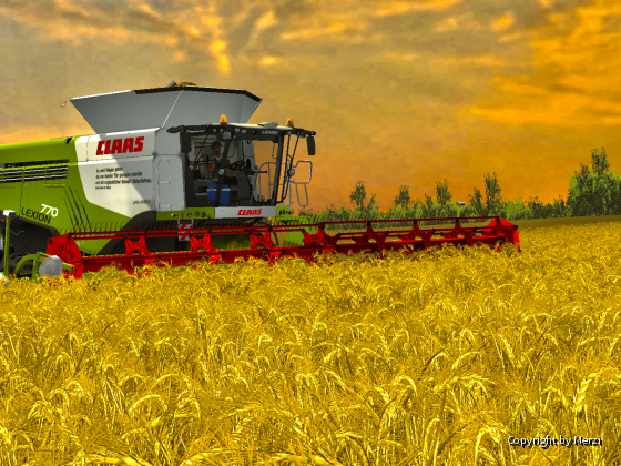 Claas Lexion 770 in den Abendstunden