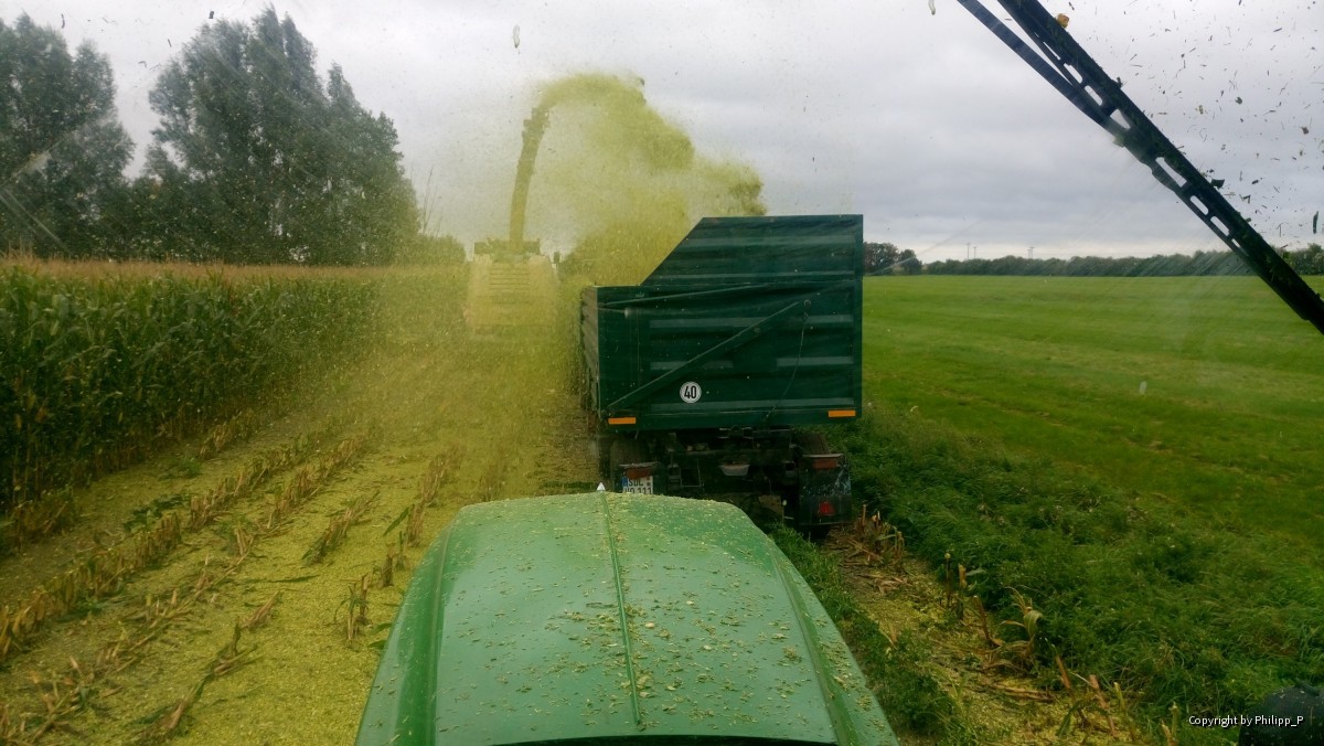 Maisernte mit John Deere und Krone