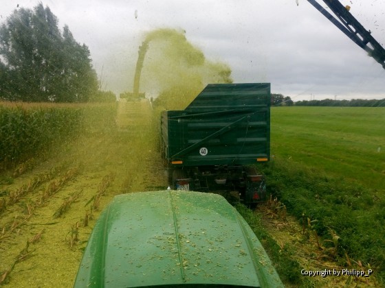 Maisernte mit John Deere und Krone