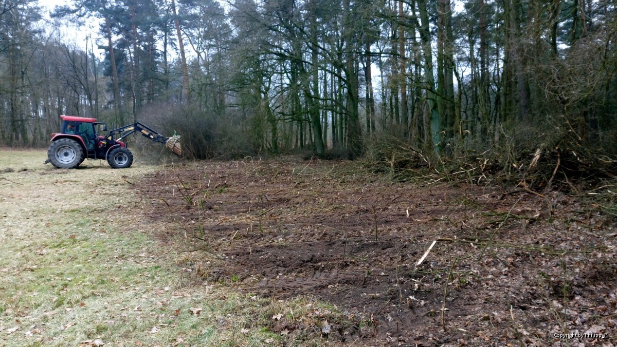 Wiederherstellung der urspünglichen Grenze