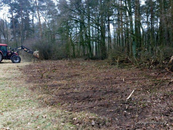 Wiederherstellung der urspünglichen Grenze