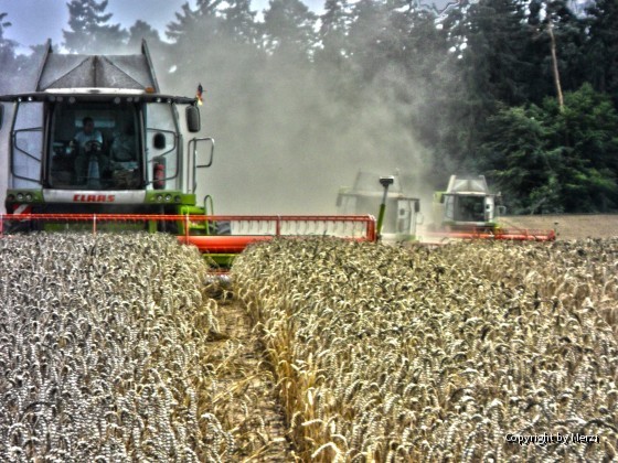 Hiermal unsere 3x Claas Lexion 760 mit einen Schneidwerk von 9m