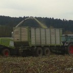 Januar bis Dezember