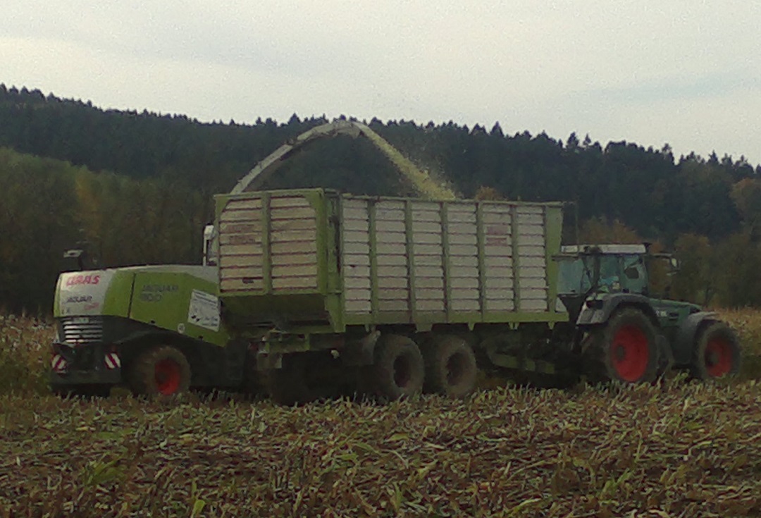 Januar bis Dezember